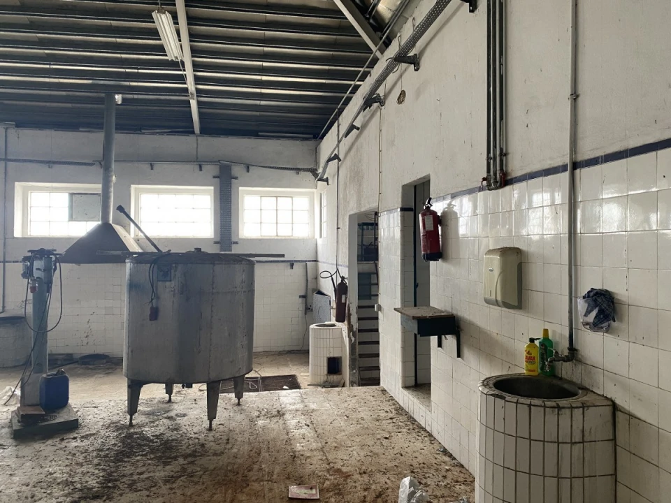 Armazém para Venda em Malhou, Louriceira e Espinheiro Foto 6