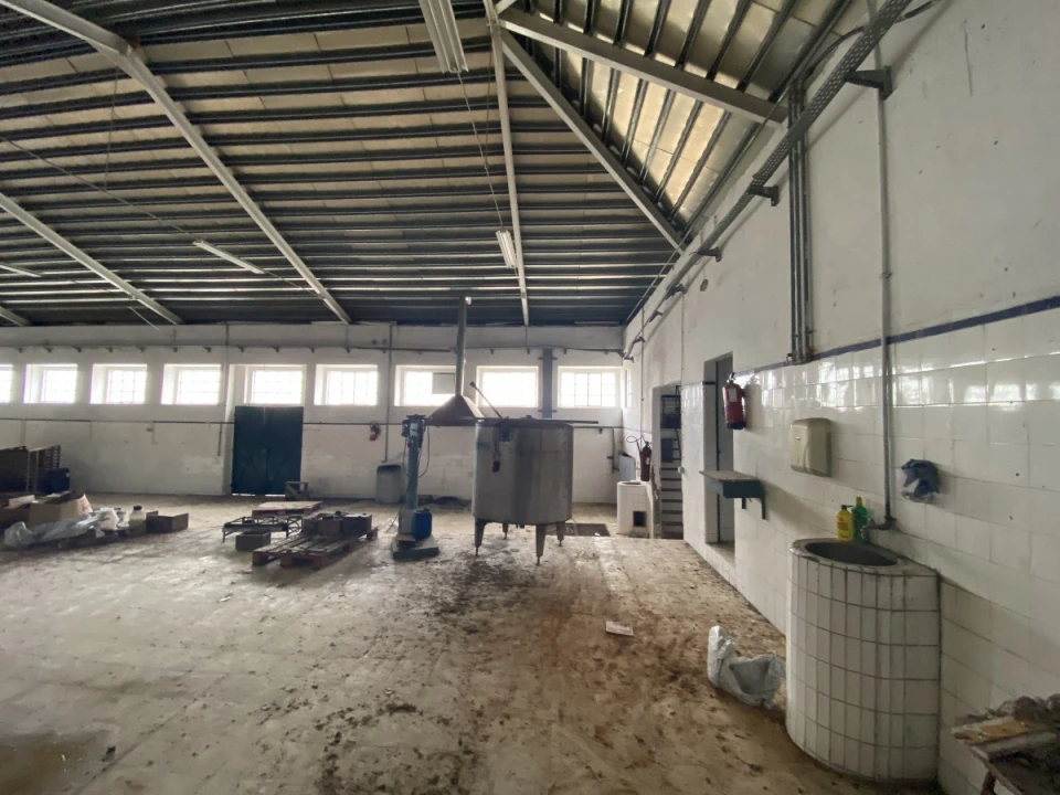 Armazém para Venda em Malhou, Louriceira e Espinheiro Foto 7