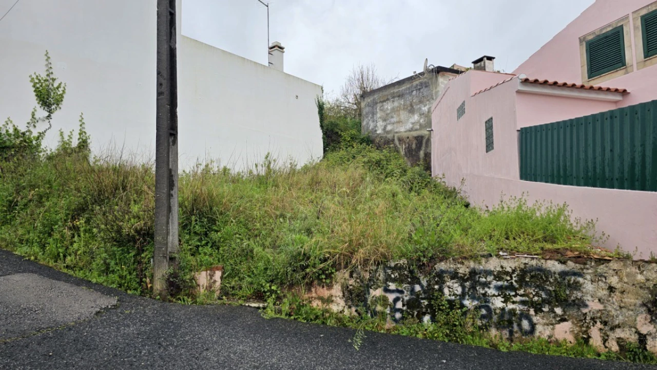 Terreno para Venda em Cadaval e Pêro Moniz Foto 5