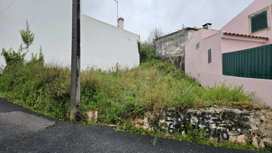 Terreno para Venda em Cadaval e Pêro Moniz Foto 4