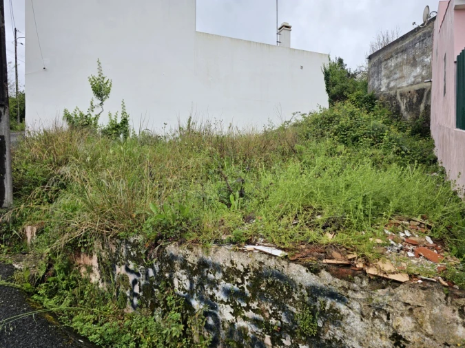 Terreno para Venda em Cadaval e Pêro Moniz Foto 3