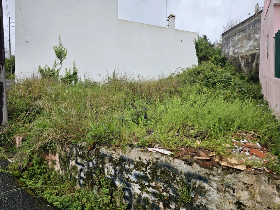 Terreno para Venda em Cadaval e Pêro Moniz Foto 3