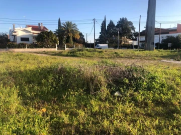 Terreno para Venda em Vale de Santarem