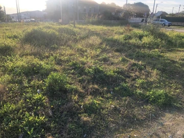 Terreno para Venda em Vale de Santarem