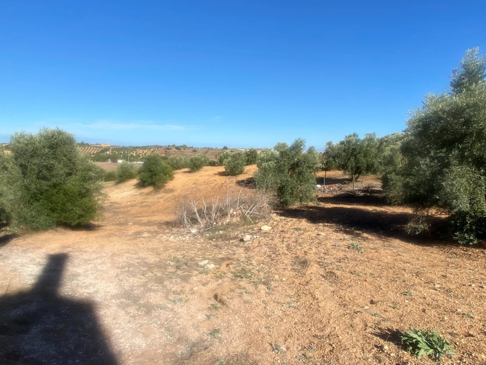 Terreno para Venda em Abitureiras Foto 4