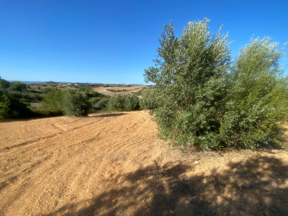 Terreno para Venda em Abitureiras Foto 9