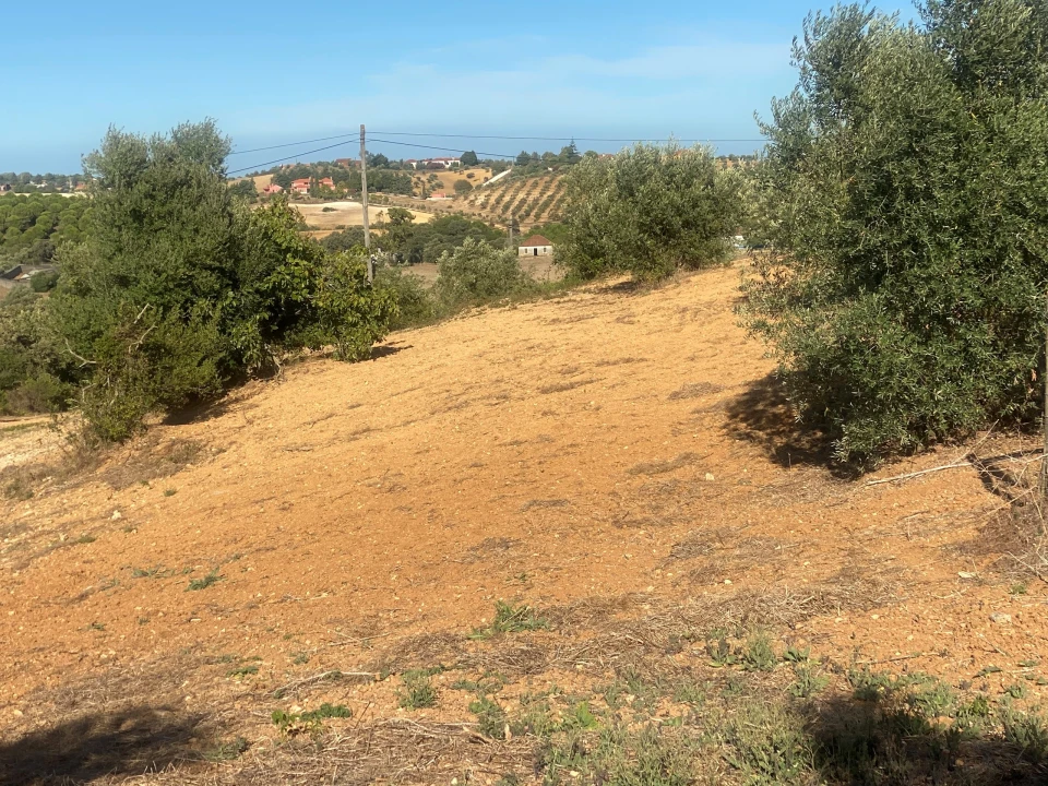 Terreno para Venda em Abitureiras Foto 18
