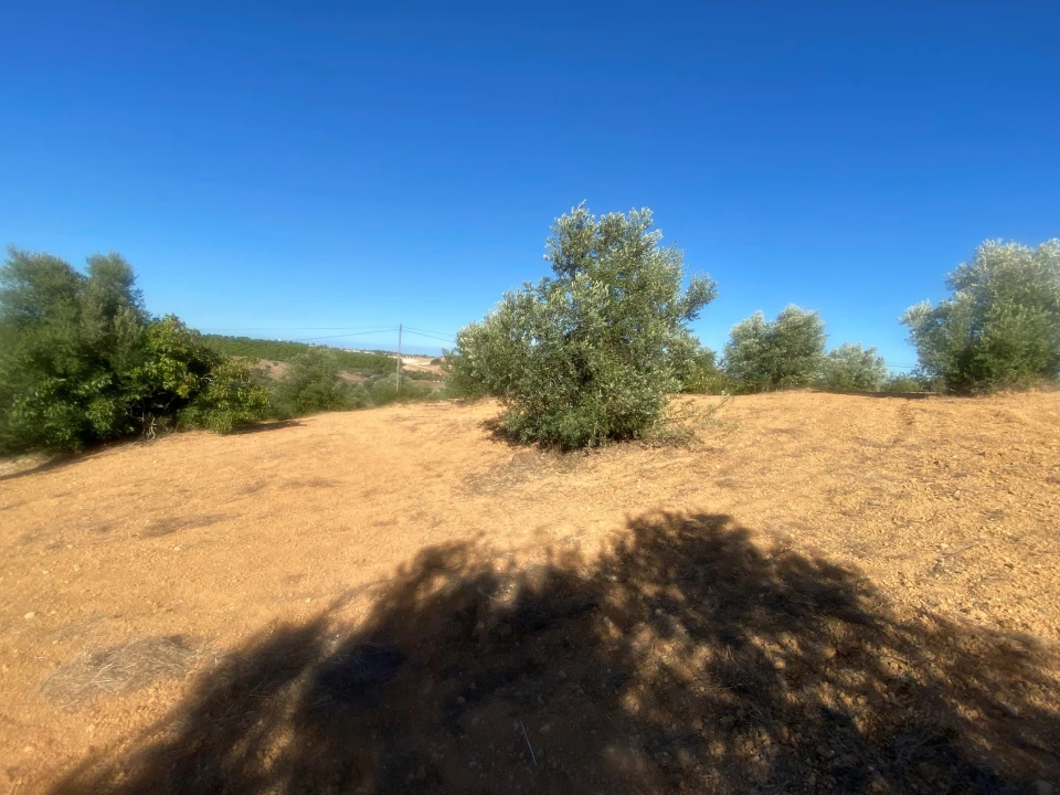 Terreno para Venda em Abitureiras Foto 8