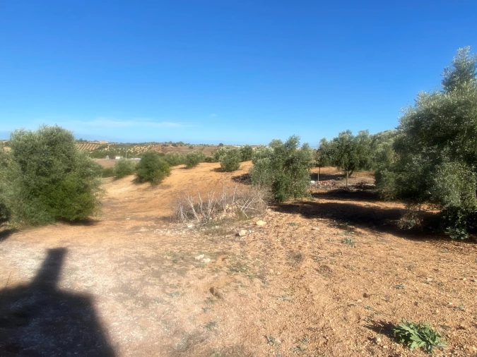 Terreno para Venda em Abitureiras Foto 4