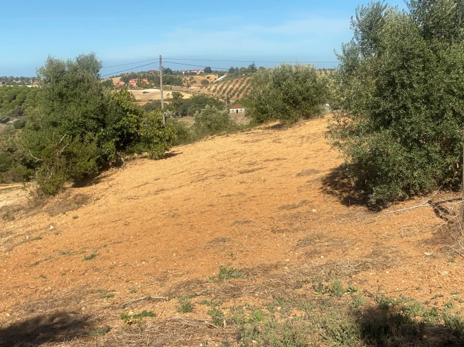 Terreno para Venda em Abitureiras Foto 18