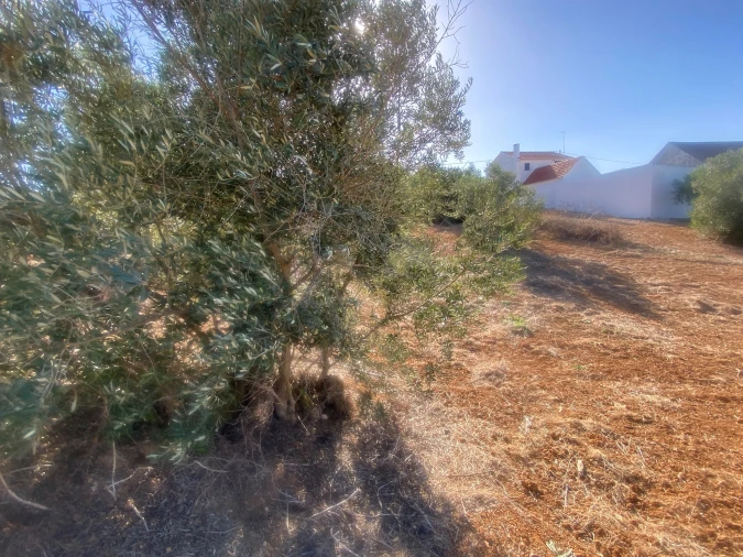 Terreno para Venda em Abitureiras Foto 6