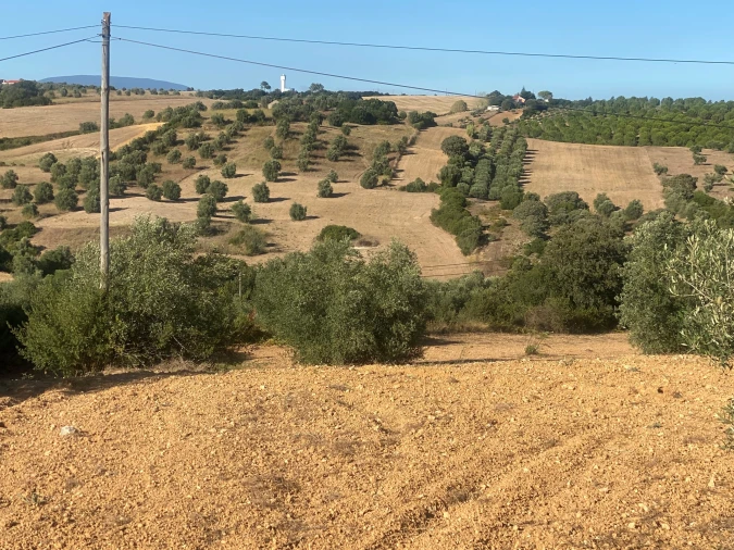 Terreno para Venda em Abitureiras Foto 12