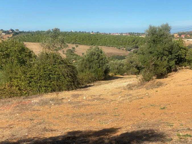 Terreno para Venda em Abitureiras Foto 17