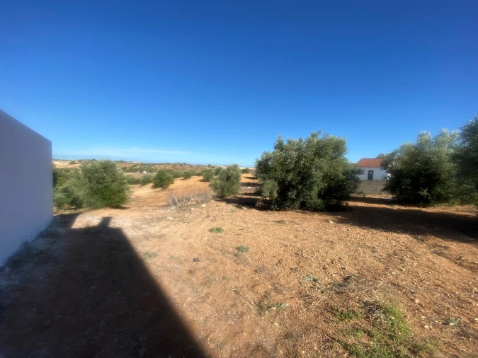 Terreno para Venda em Abitureiras