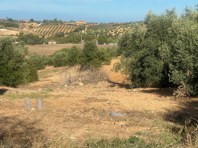 Terreno para Venda em Abitureiras Foto 20