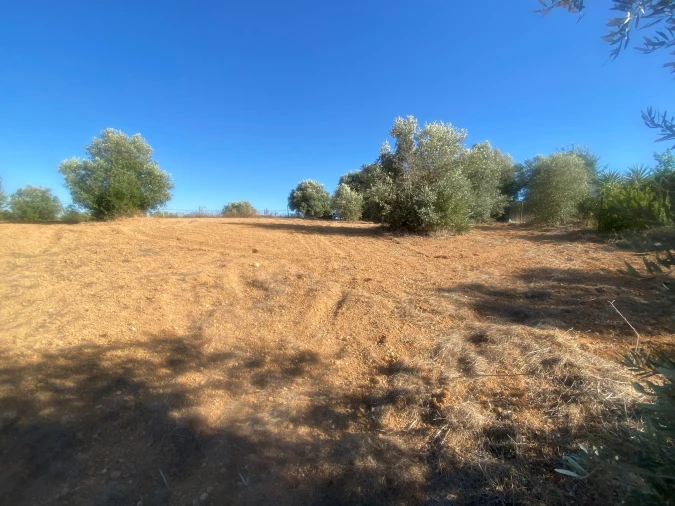 Terreno para Venda em Abitureiras Foto 7