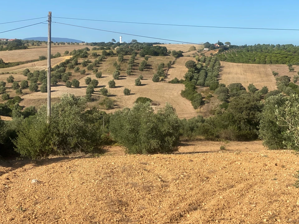 Terreno para Venda em Abitureiras Foto 11