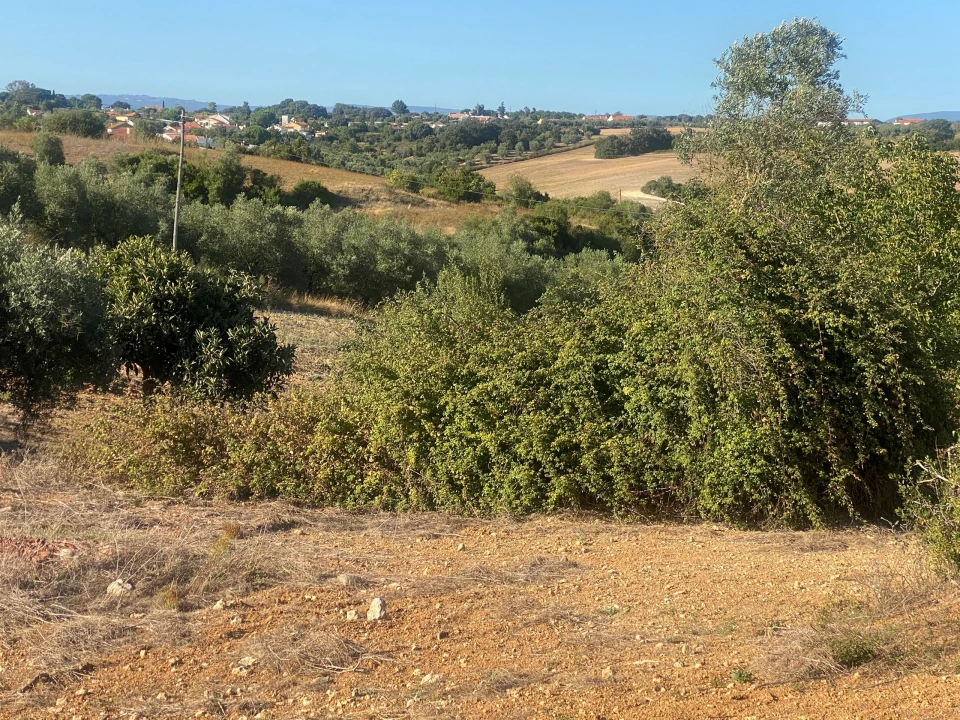 Terreno para Venda em Abitureiras Foto 16