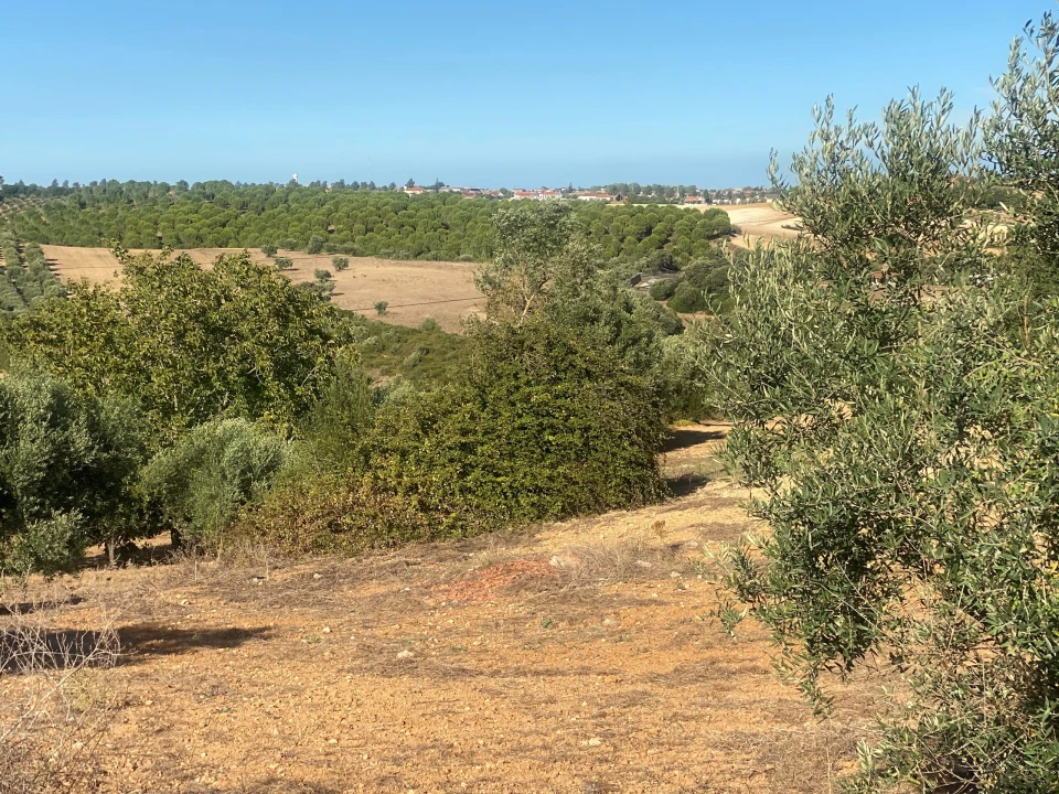 Terreno para Venda em Abitureiras Foto 19