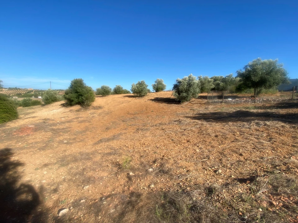 Terreno para Venda em Abitureiras Foto 5