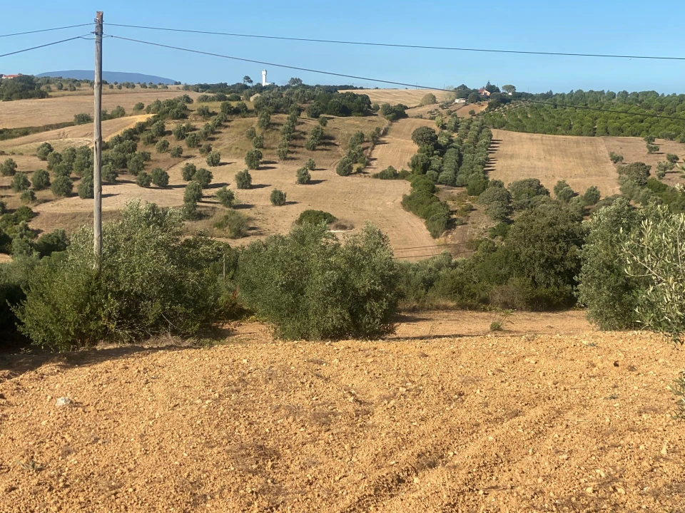 Terreno para Venda em Abitureiras Foto 12