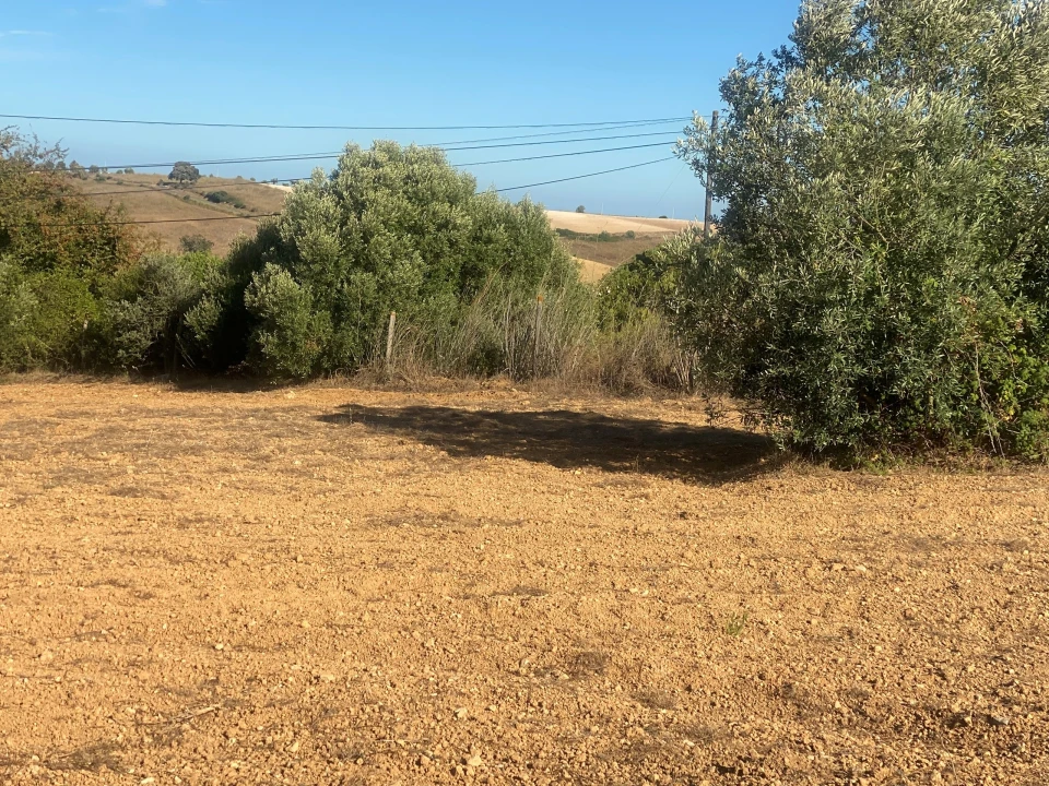 Terreno para Venda em Abitureiras Foto 14