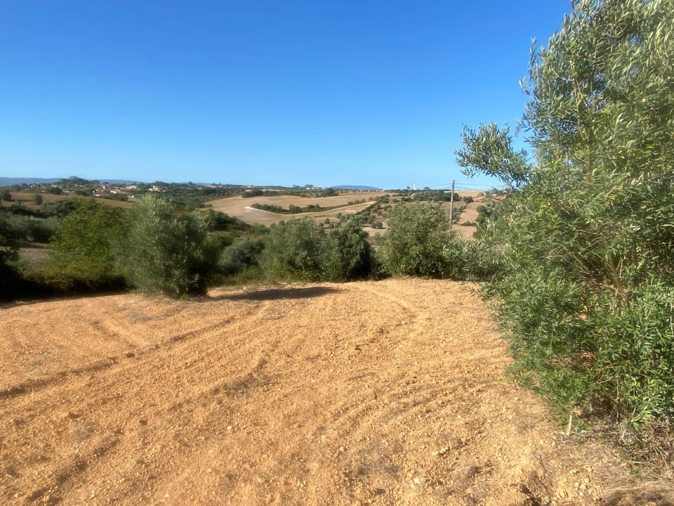 Terreno para Venda em Abitureiras Foto 10