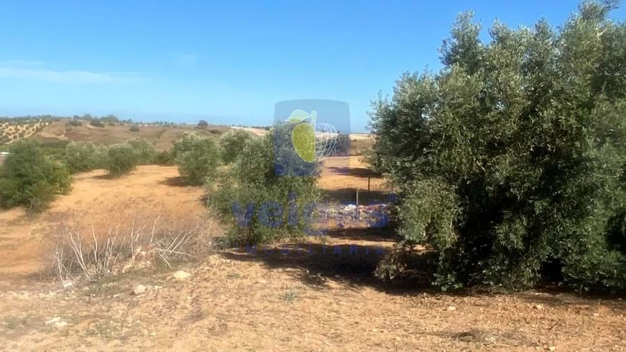 Terreno para Venda em Abitureiras