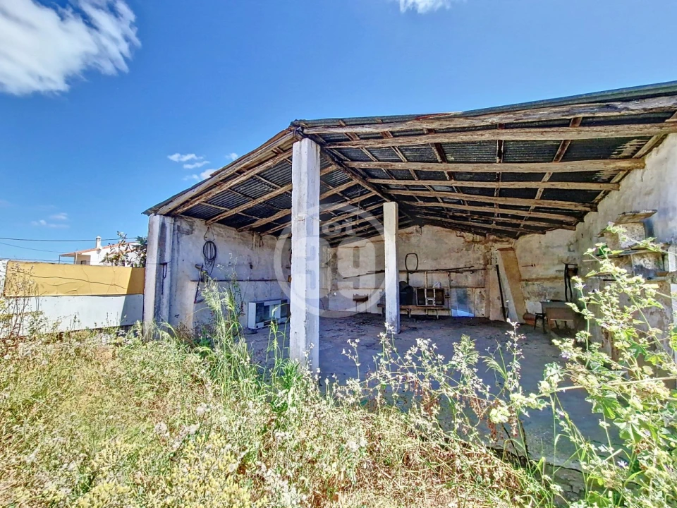 Prédio para Venda em Alcantarilha e Pêra Foto 12