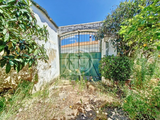 Prédio para Venda em Alcantarilha e Pêra Foto 13