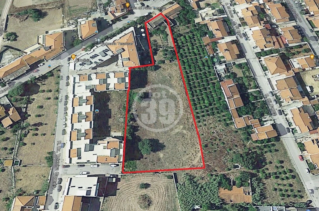 Terreno Misto para Venda em Algoz e Tunes Foto 10