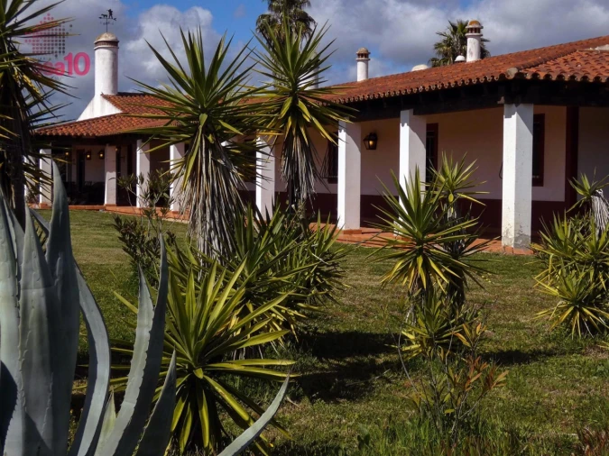 Quinta T3 para Venda em Vila Nova de São Bento e Vale de Vargo Foto 5
