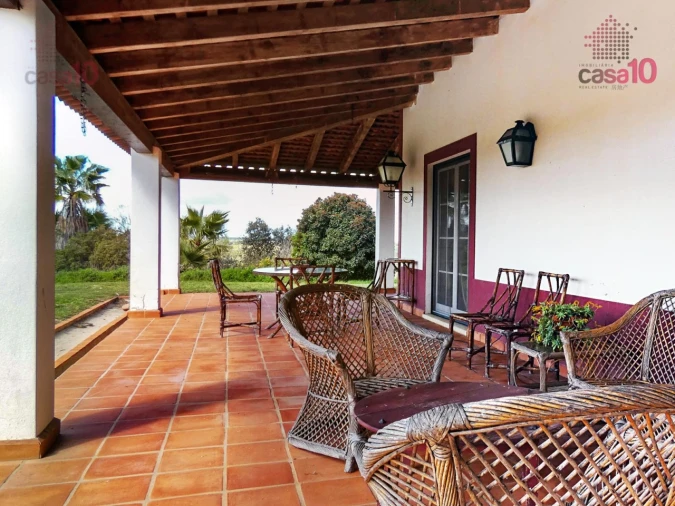 Quinta T3 para Venda em Vila Nova de São Bento e Vale de Vargo Foto 8