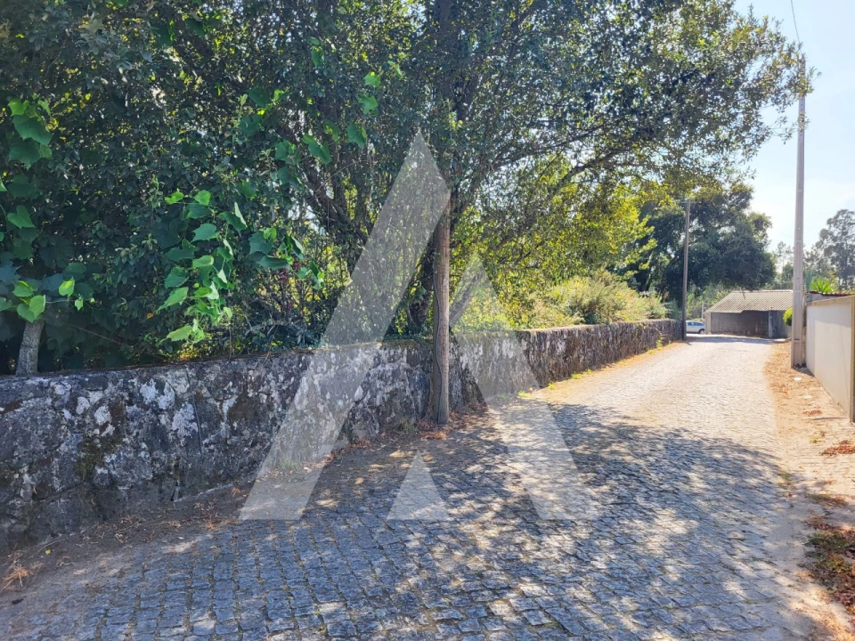 Terreno para Venda em Forjães Foto 19