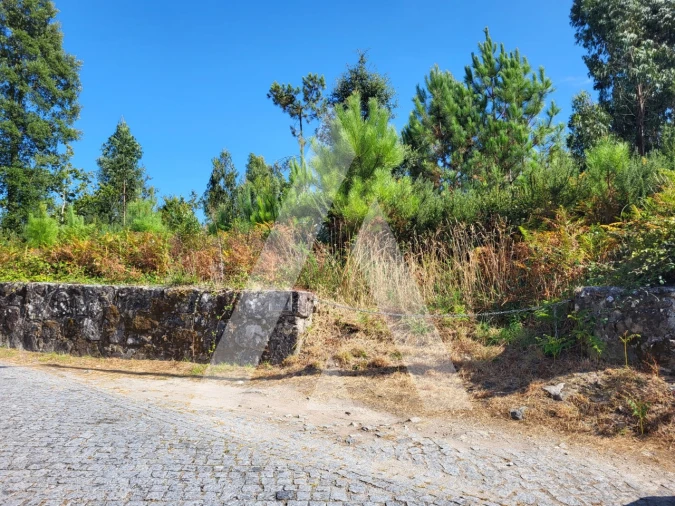 Terreno para Venda em Forjães Foto 23