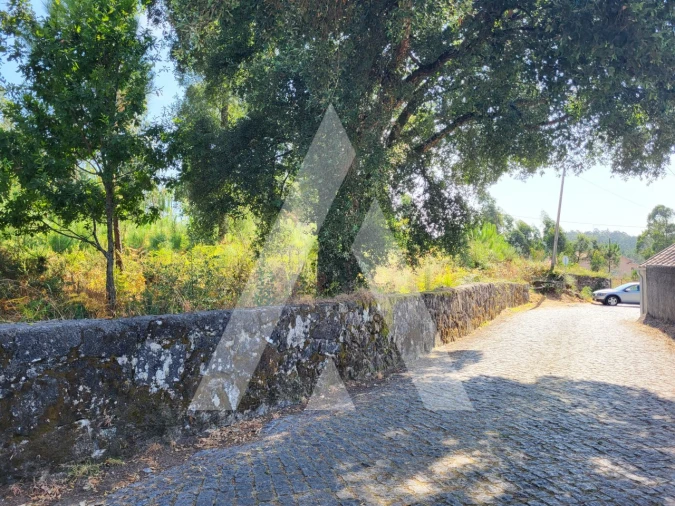 Terreno para Venda em Forjães Foto 20