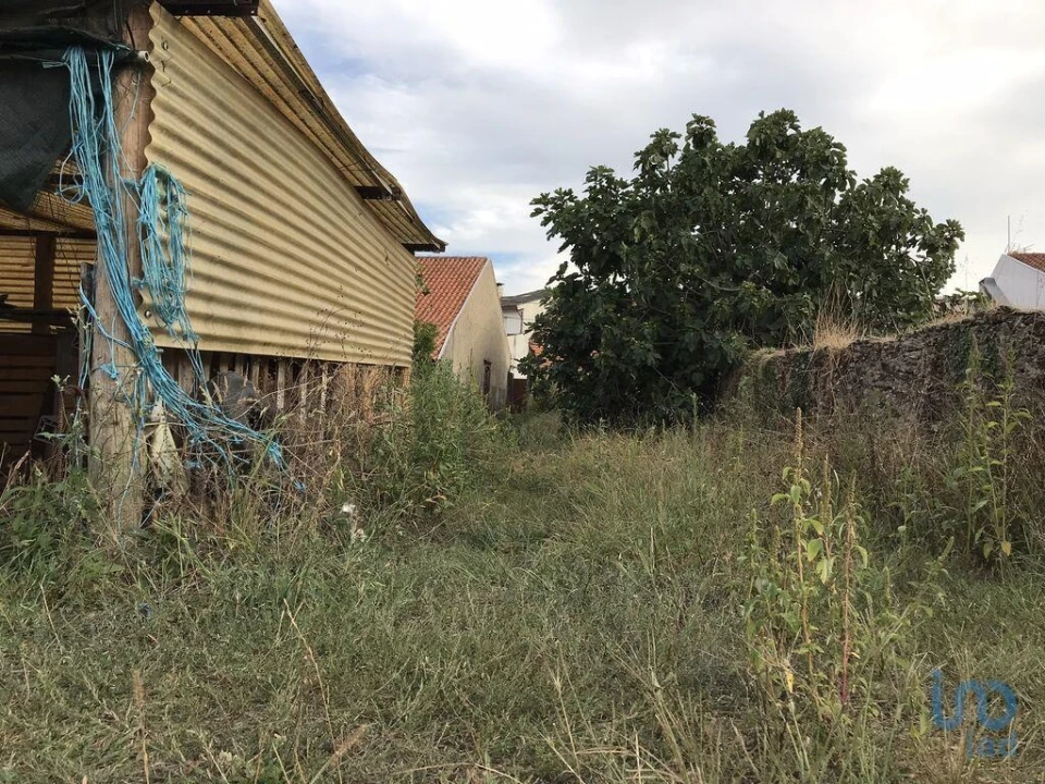 Terreno para Venda em Ovar, São João, Arada e São Vicente de Pereira Jusã Foto 15