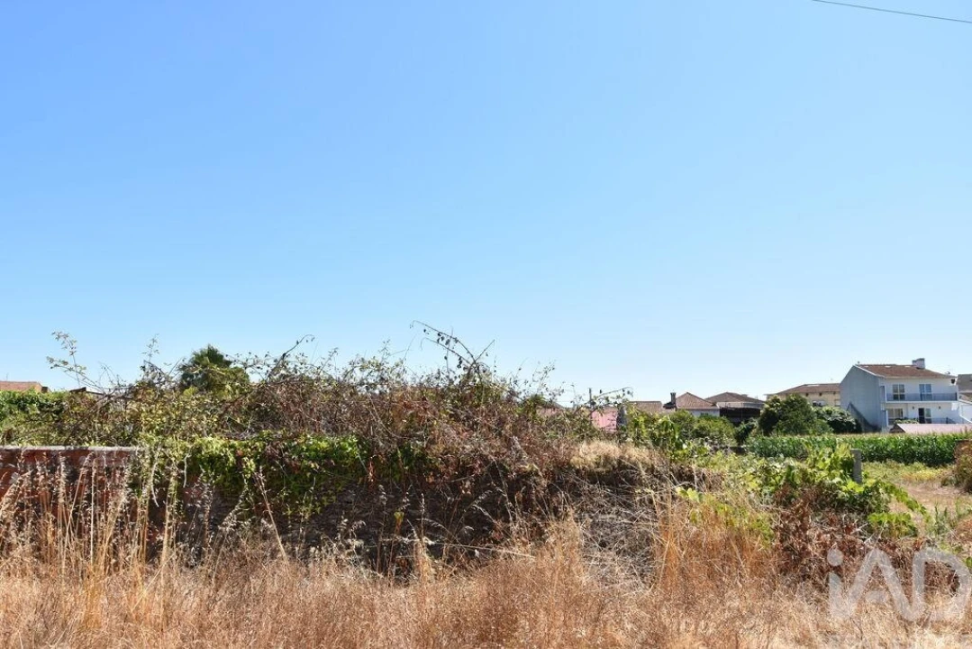 Terreno para Venda em Ovar, São João, Arada e São Vicente de Pereira Jusã Foto 22