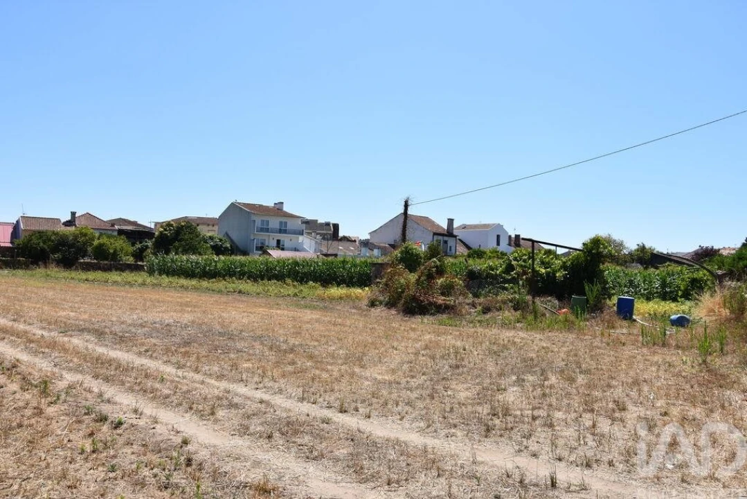 Terreno para Venda em Ovar, São João, Arada e São Vicente de Pereira Jusã Foto 24