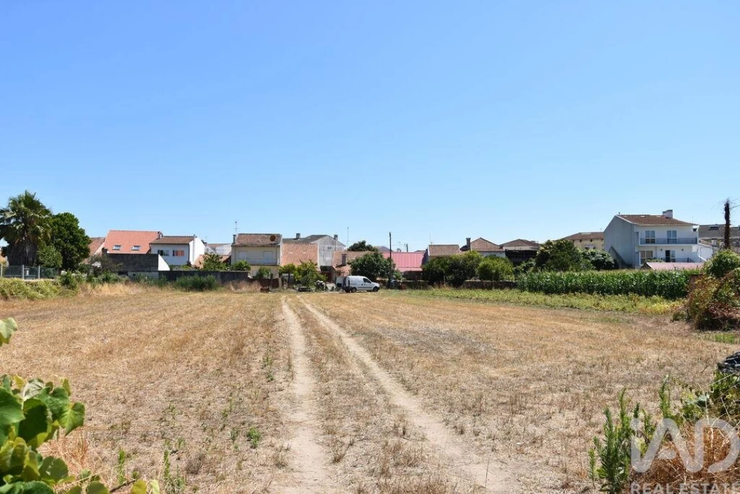 Terreno para Venda em Ovar, São João, Arada e São Vicente de Pereira Jusã Foto 23