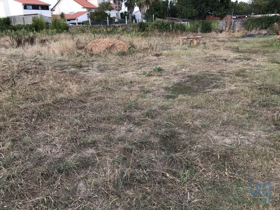 Terreno para Venda em Ovar, São João, Arada e São Vicente de Pereira Jusã Foto 6