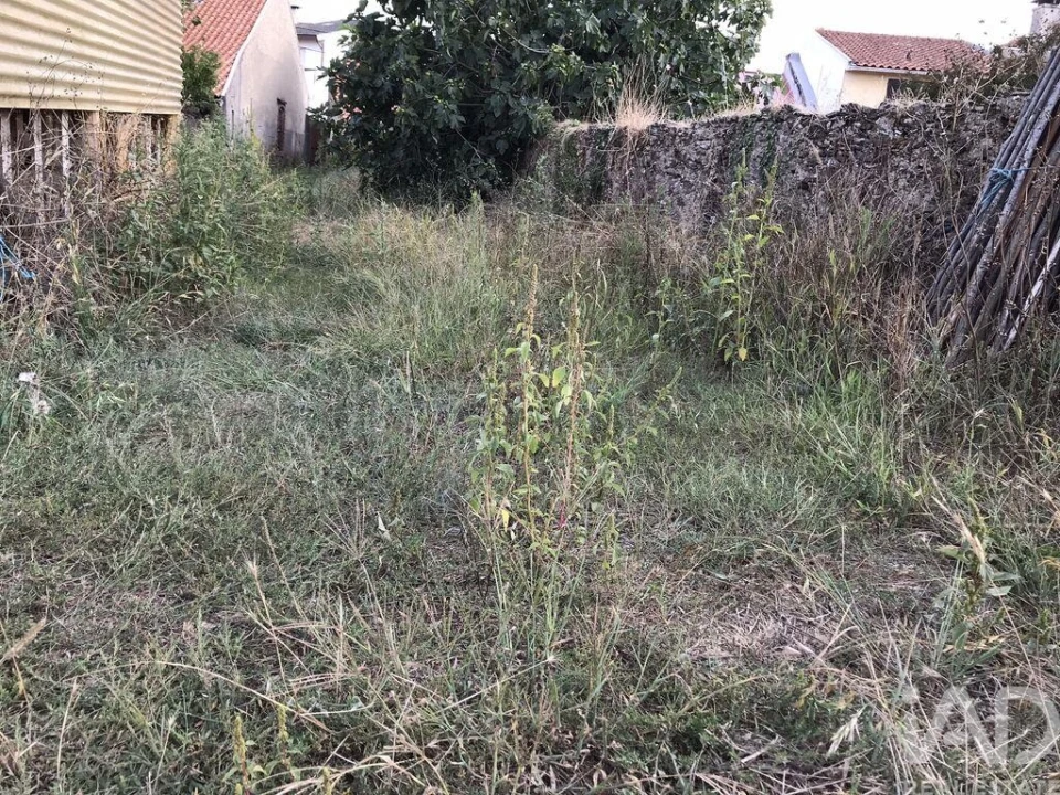Terreno para Venda em Ovar, São João, Arada e São Vicente de Pereira Jusã Foto 16
