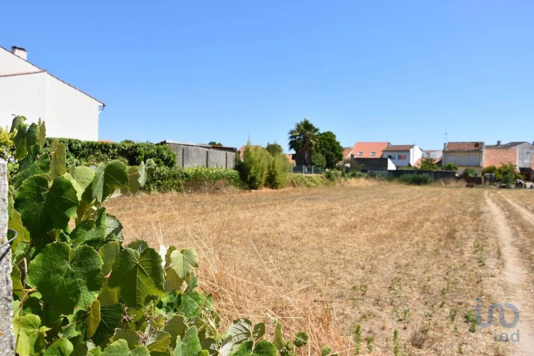 Terreno para Venda em Ovar, São João, Arada e São Vicente de Pereira Jusã Foto 1