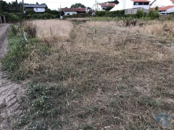 Terreno para Venda em Ovar, São João, Arada e São Vicente de Pereira Jusã