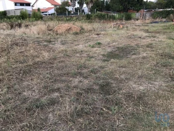 Terreno para Venda em Ovar, São João, Arada e São Vicente de Pereira Jusã