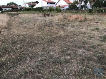 Terreno para Venda em Ovar, São João, Arada e São Vicente de Pereira Jusã