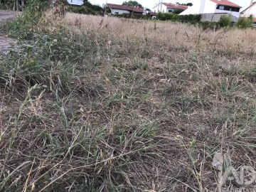 Terreno para Venda em Ovar, São João, Arada e São Vicente de Pereira Jusã