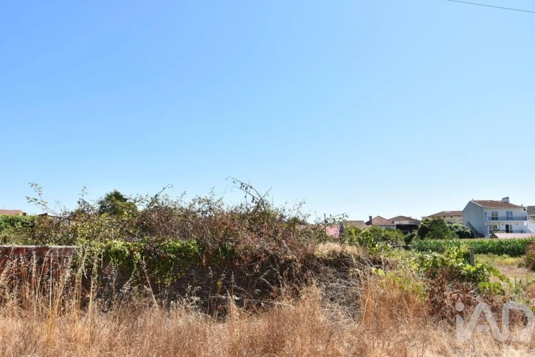 Terreno para Venda em Ovar, São João, Arada e São Vicente de Pereira Jusã Foto 22