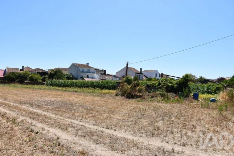 Terreno para Venda em Ovar, São João, Arada e São Vicente de Pereira Jusã Foto 24