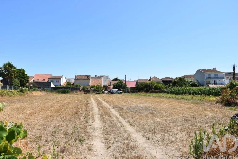 Terreno para Venda em Ovar, São João, Arada e São Vicente de Pereira Jusã Foto 23
